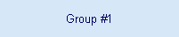 Group #1