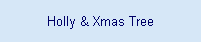 Holly & Xmas Tree
