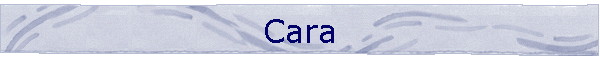 Cara