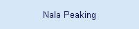 Nala Peaking