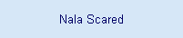 Nala Scared