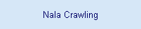 Nala Crawling